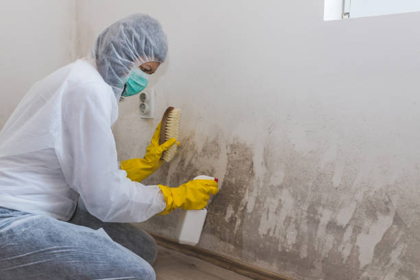 Water Damage Restoration in South Barre, VT